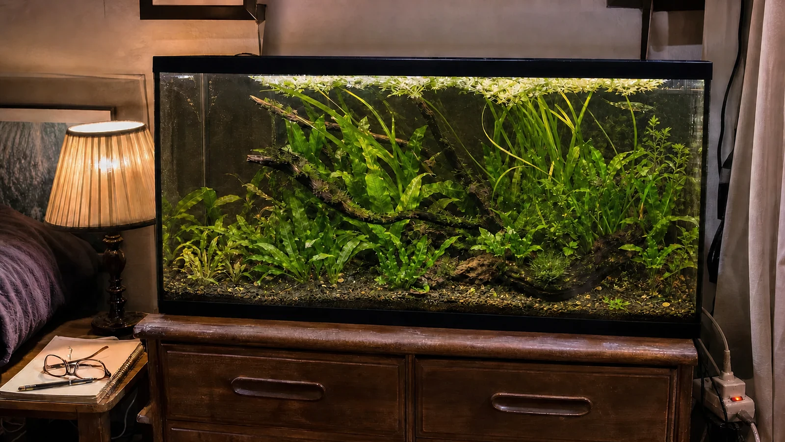 A dense low-tech jungle aquarium with crypts, Java fern, moss, and driftwood beside a bed.
