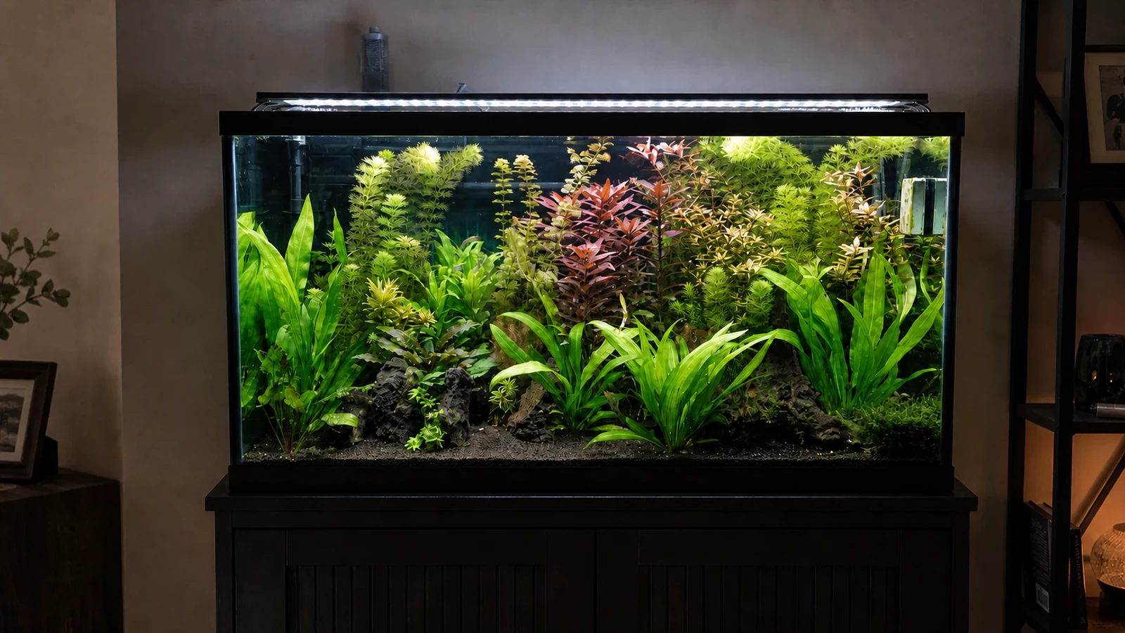 A mixed planted aquarium with broad-leaved rosettes, red stems, moss, and dark stone in a home den.