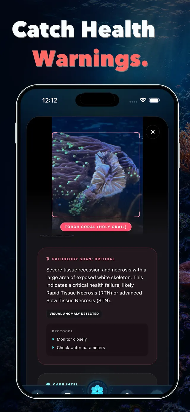 AquaLens flagging critical tissue necrosis on a torch coral with a pathology scan