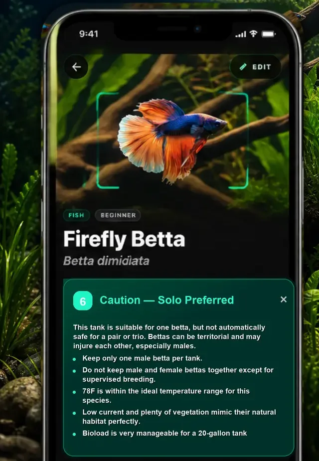 Scanning a fish with the AquaLens camera
