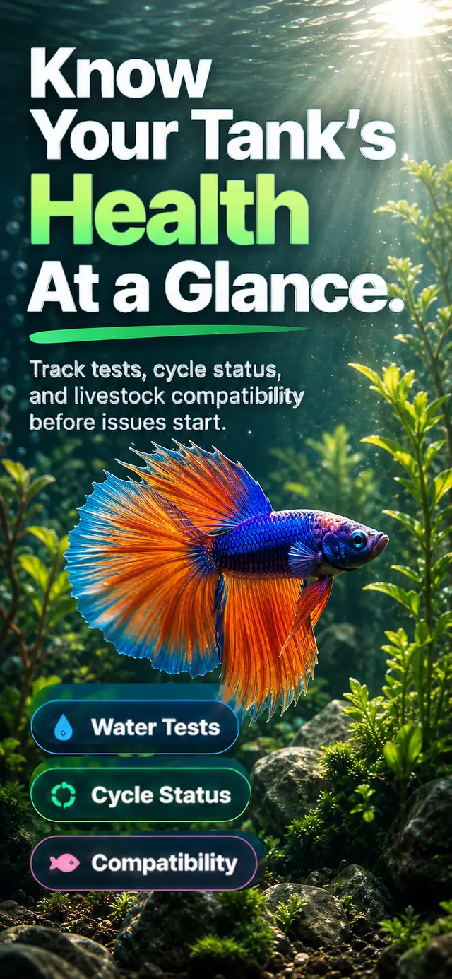 Know Your Tank's Health At a Glance