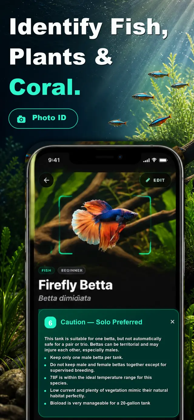 Identify Fish, Plants & Coral with AquaLens AI Scanner