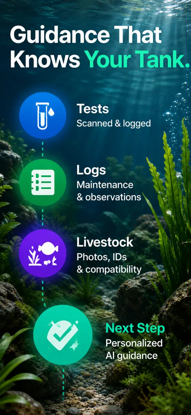 Guidance That Knows Your Tank
