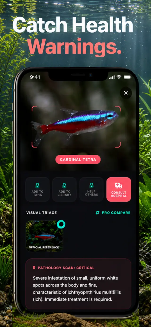 AquaLens health warnings — Ich detection on Cardinal Tetra
